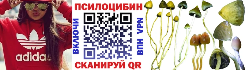 Галлюциногенные грибы мухоморы  Купить закладки  Камызяк 